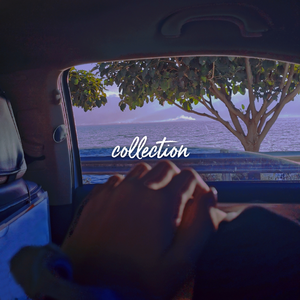 丝瓜视频在线观看风险
