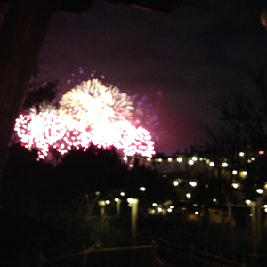 丝瓜视频在线观看风险
