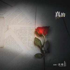 丝瓜视频在线观看风险
